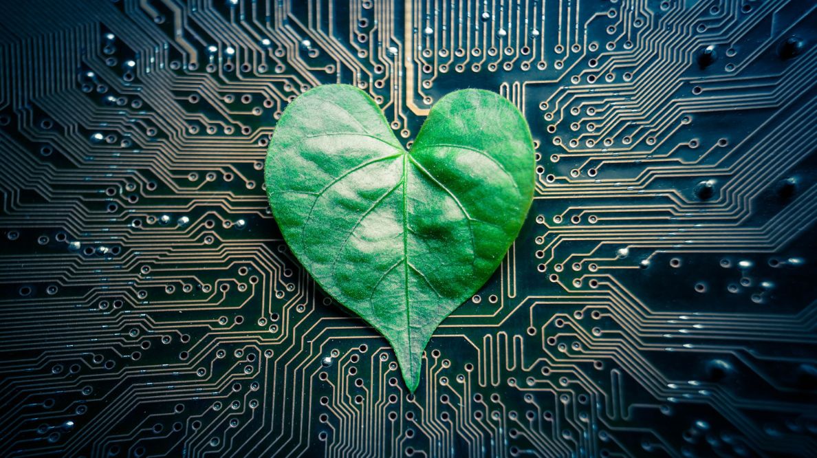 Une feuille d'arbre en forme de coeur sur un circuit imprimé