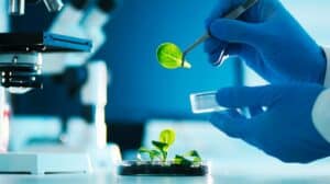 Une personne aux mains gantées, dans un laboratoire, manipulant de petites feuilles devant un microscope